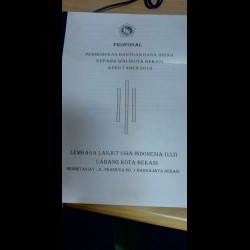 LEMBAGA LANJUT USIA INDONESIA (LLI).jpg